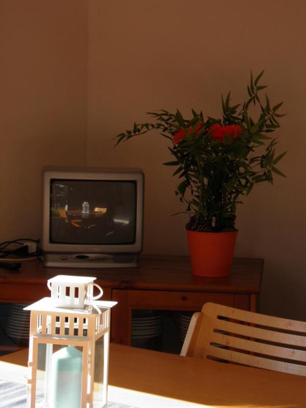 Maremmare Tuscany Apartments Principina a Mare Bagian luar foto