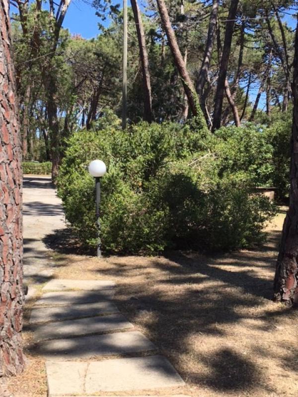Maremmare Tuscany Apartments Principina a Mare Bagian luar foto